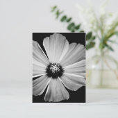 Carte Postale Beauté en noir et blanc (Debout devant)