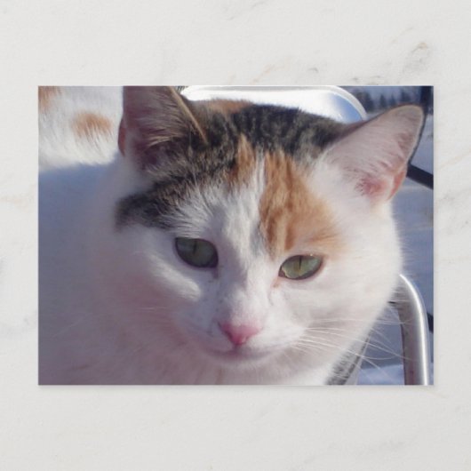 Carte Postale Beauté férique (Devant)