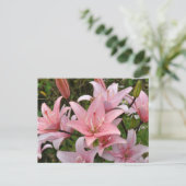 Carte Postale Beauté florale du lièvre rose (Debout devant)