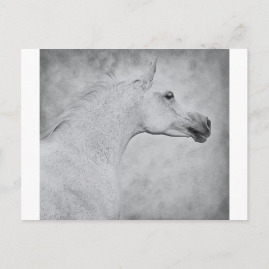 Carte Postale Beauté intemporelle (Devant)