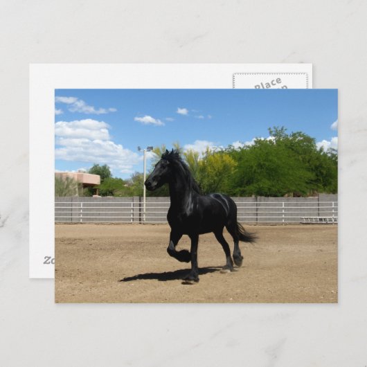 Carte Postale beauté noire (Devant / Derrière)