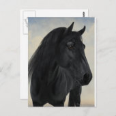 Carte Postale Beauté noire - Portrait de Cheval friésien noir (Devant / Derrière)