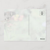 Carte postale Beauté papillon (Dos)