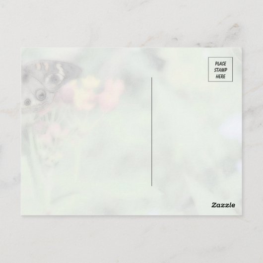 Carte postale Beauté papillon (Dos)