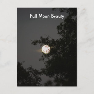 Carte Postale Beauté Pleine lune