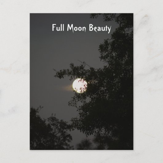 Carte Postale Beauté Pleine lune (Devant)