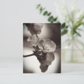 Carte Postale Beauté silencieuse (Debout devant)