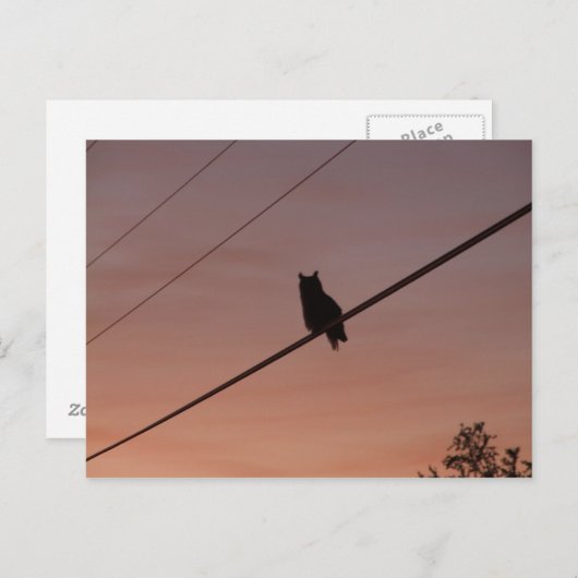 Carte Postale Beauté Silhouette (Devant / Derrière)