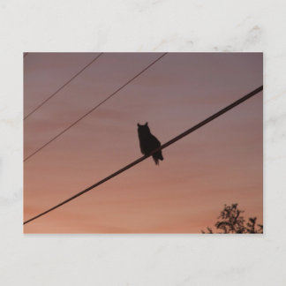 Carte Postale Beauté Silhouette