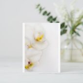 Carte Postale Beauté simple (Debout devant)