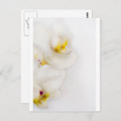 Carte Postale Beauté simple (Devant / Derrière)