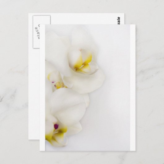 Carte Postale Beauté simple (Devant / Derrière)