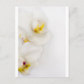 Carte Postale Beauté simple (Devant)