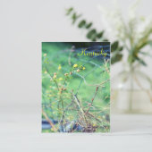 Carte Postale Beauté simple par Jersey Fawn (Debout devant)