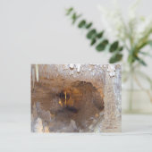 Carte Postale Beauté souterraine (Debout devant)