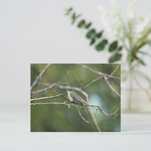 Carte Postale Beauté subtile (Debout devant)