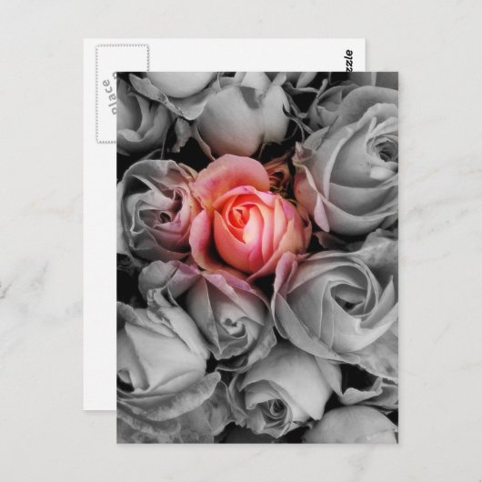 Carte Postale Beauté unique (Devant / Derrière)