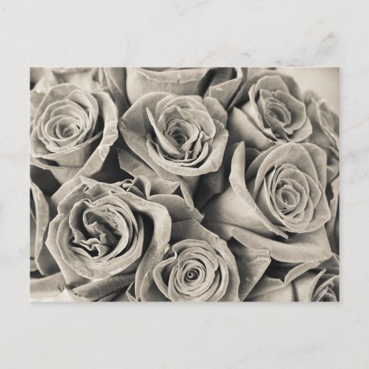 Carte Postale Beauté velours vintage (Devant)