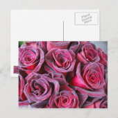 Carte Postale Beauté Velvet (Devant / Derrière)