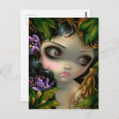 Carte Postale "Beautés Vénéneuses XIV : Racine de Mandragore" Ca (Devant / Derrière)