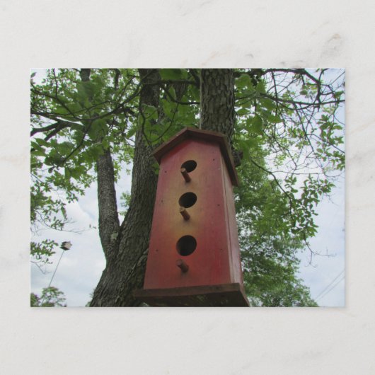 Carte Postale beautiful bird house hanging from the tree (Devant)