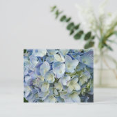 Carte Postale Beautiful Blue Hydrangea Flowers (Debout devant)
