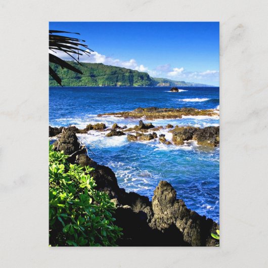 Carte Postale Beautiful Hawaii (Devant)