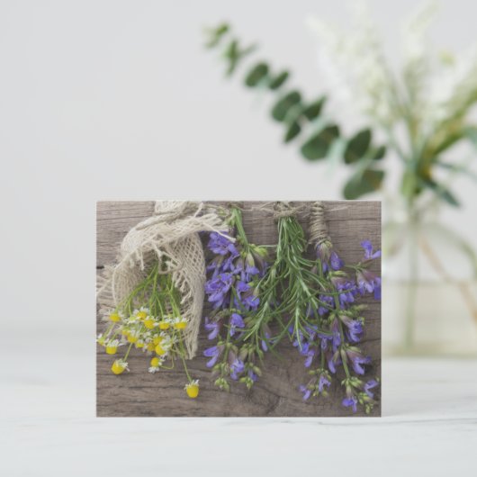 Carte Postale beautiful herbal (Debout devant)