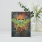 Carte Postale Beautiful Luna Moth Painting (Debout devant)