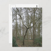 Carte Postale Beautiful Nature I, Send Ugly Postcard (Devant / Derrière)