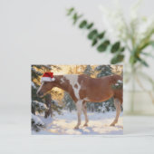 Carte Postale Beautiful Paint Horse Mare Christmas  (Debout devant)