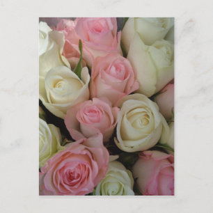 Carte Postale Beautiful Pink White Roses Flower Bouquet