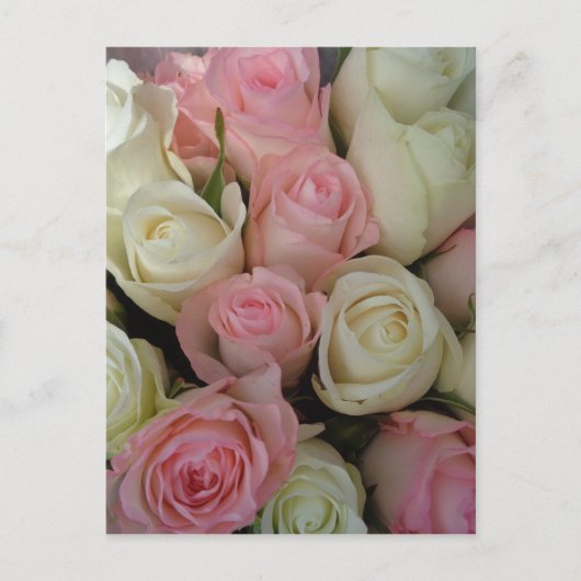 Carte Postale Beautiful Pink White Roses Flower Bouquet (Devant)