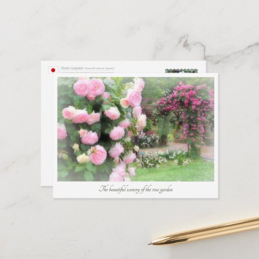 Carte Postale Beautiful Rose Garden (Devant/Arrière en situation)