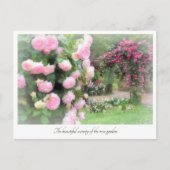 Carte Postale Beautiful Rose Garden (Devant)