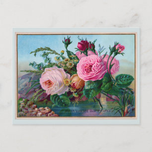 Carte Postale Beautiful Roses Along the Water