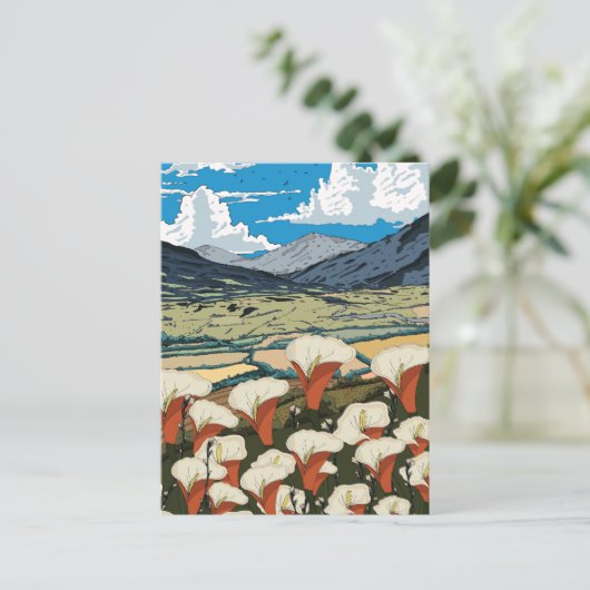 Carte Postale Beautiful Wildflower Meadow Landscape (Debout devant)