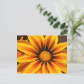 Carte Postale Beautiful Yellow Gazania (Debout devant)