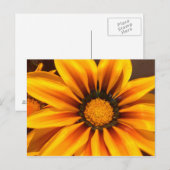 Carte Postale Beautiful Yellow Gazania (Devant / Derrière)