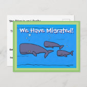 Carte Postale Beaux baleines que nous avons déplacé changement d (Devant / Derrière)
