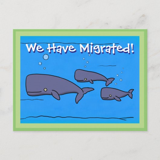 Carte Postale Beaux baleines que nous avons déplacé changement d (Devant)