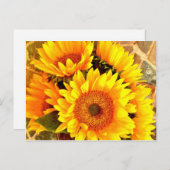 Carte Postale Beaux cadeaux de bouquet de tournesol (Devant / Derrière)