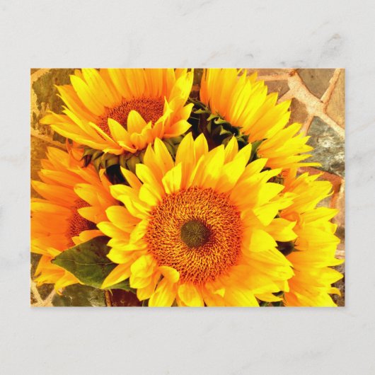 Carte Postale Beaux cadeaux de bouquet de tournesol (Devant)