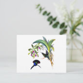 Carte Postale Beaux colibris et orchidées pourpres (Debout devant)
