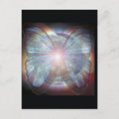 Carte Postale Beaux papillons (Devant)