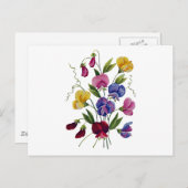 Carte Postale Beaux pois doux colorés (Devant / Derrière)