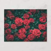 Carte Postale Beaux Roses Rouges (Devant)