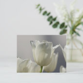 Carte Postale Beaux Tulipes Blanches de Printemps (Debout devant)