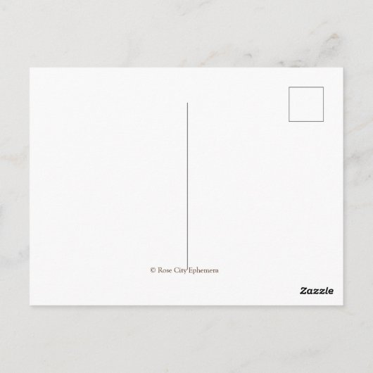 Carte Postale Beaux vieux livres anciens, dos de livres (Dos)