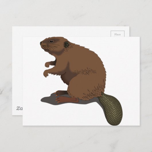 Carte Postale Beaver (Devant / Derrière)